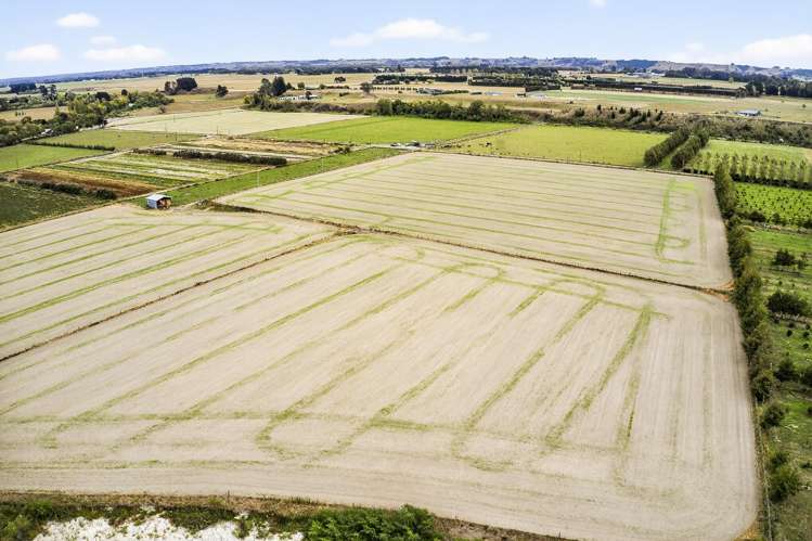 206 Almadale Road Cheltenham_4