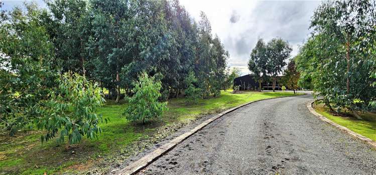 2b Bibby Street Waipawa_20