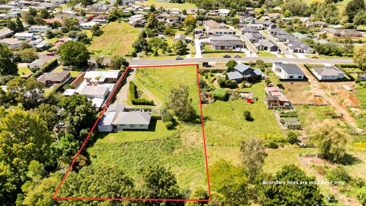 38 Hall Street Kihikihi_7