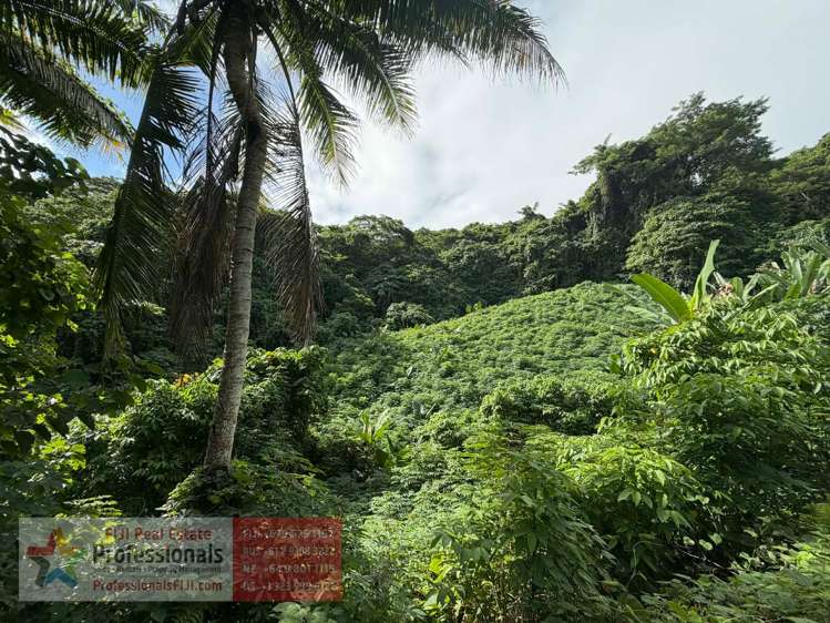 Address withheld Savusavu_16
