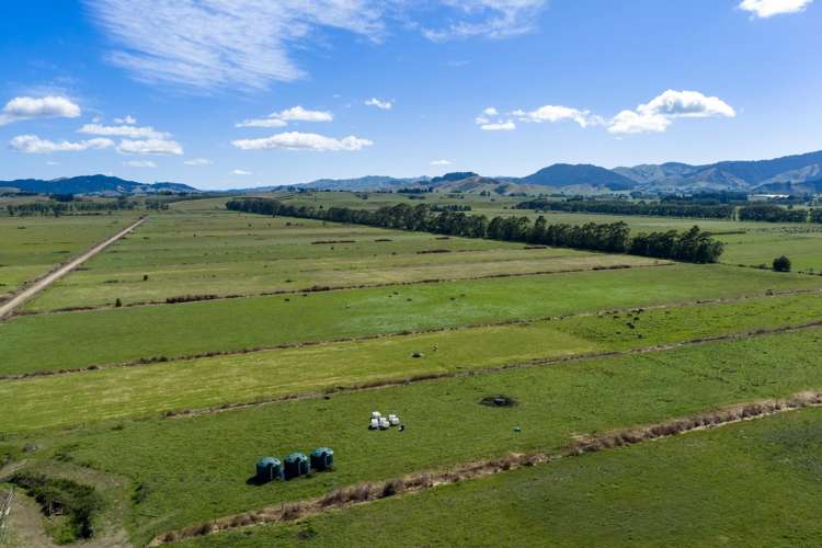 331 Kneebone Road Orini_11