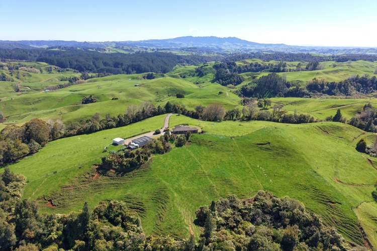775 Te Raumauku Road Otorohanga_39