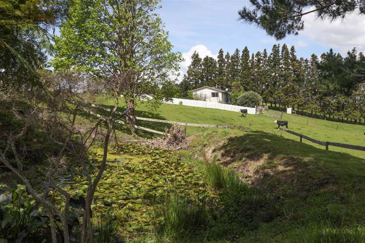 1025 Hetherington Road Ruawaro_35