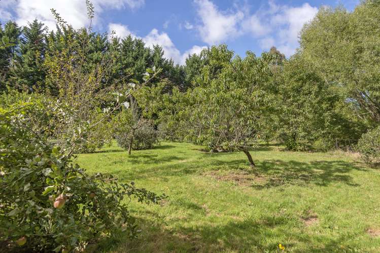 57 Station Road Loburn_10