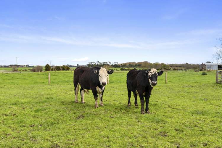 248 Wilton Road Morrinsville_20