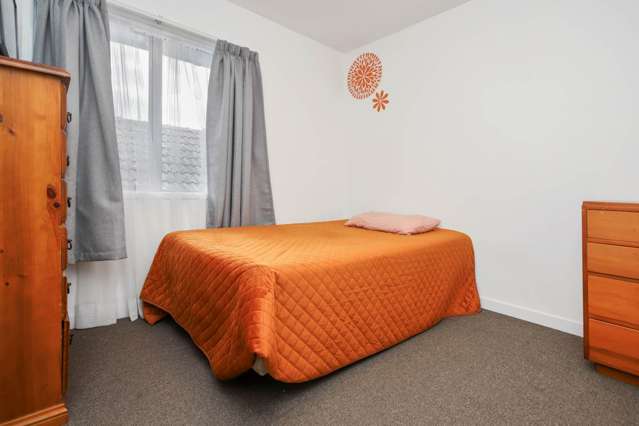 17c Domain Road Panmure_4