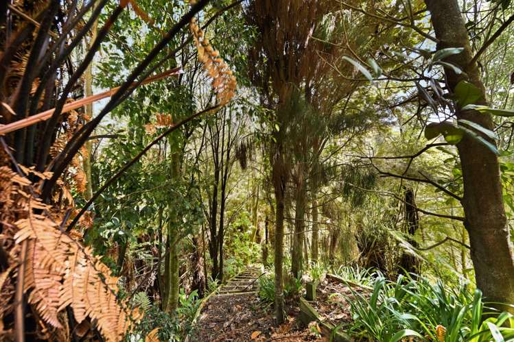 17 Montrose Crescent Huntington_31