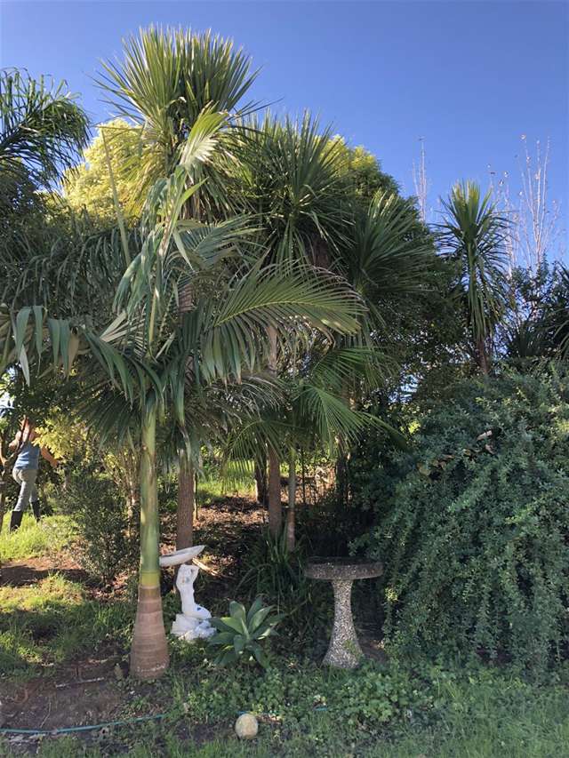 2990 Kaipara Coast Highway Glorit_4