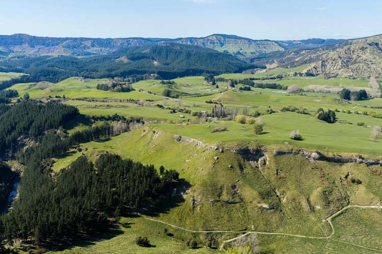 468 Waikoau Road Tutira_31