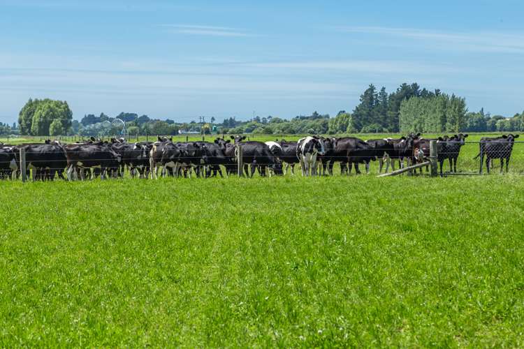 30 Tippings Road Cust_10