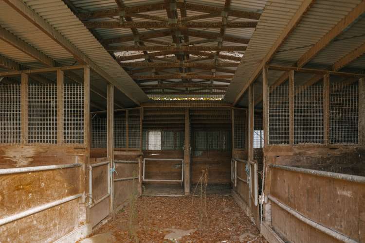 44 Te Wanaka Road Awapuni_10