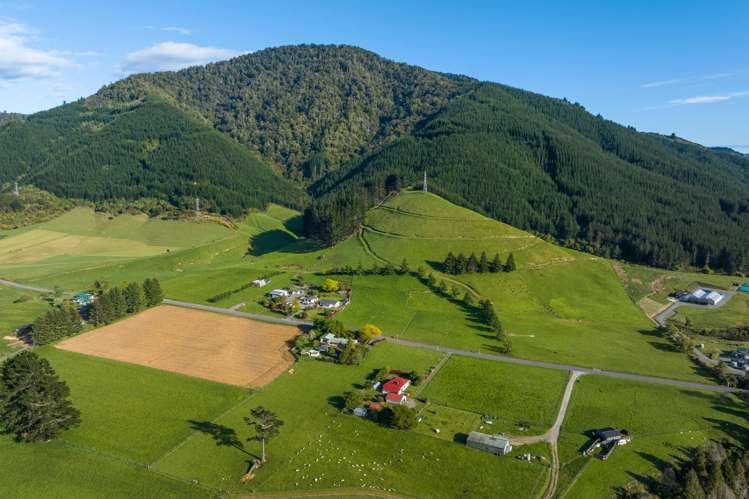 Lot 2, Maungatapu Road Pelorus Bridge_3