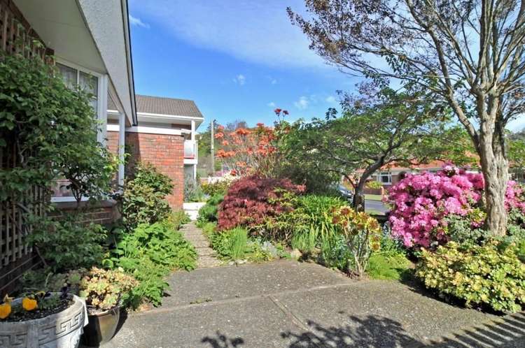 1 Sandringham Street Saint Clair_7