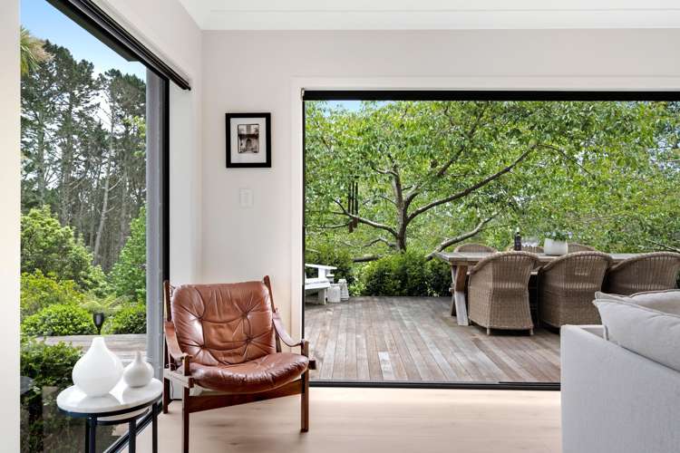 18 Ara-Kotinga Whitford_16