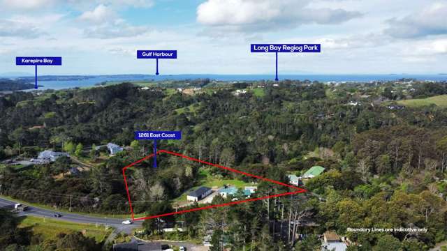 1261 East Coast Road Redvale_3