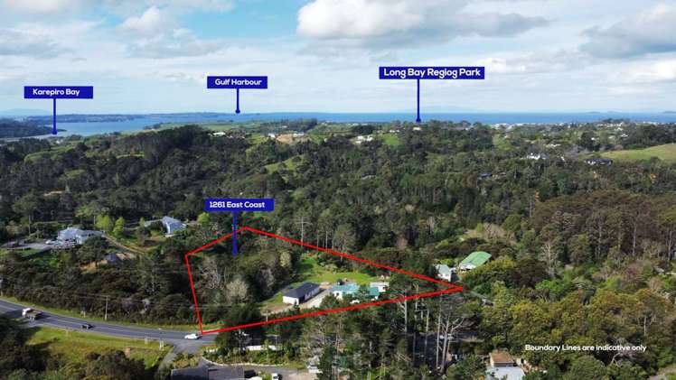 1261 East Coast Road Redvale_3