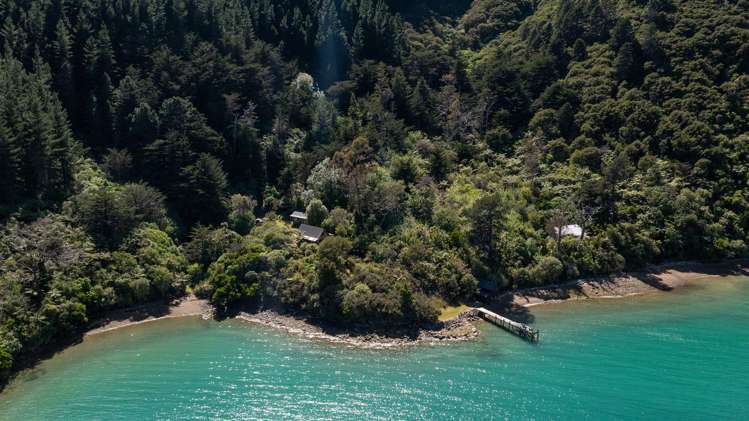 Little Nikau Bay Kenepuru Sound_22