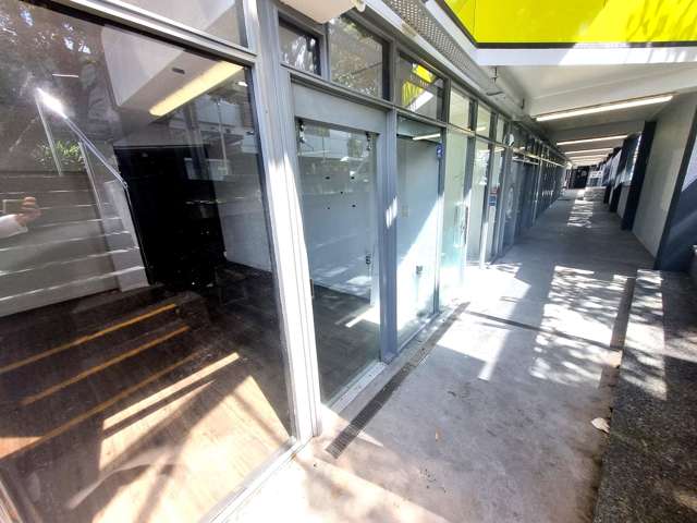 Lower Ground Floor/529 Lake Road Takapuna_2