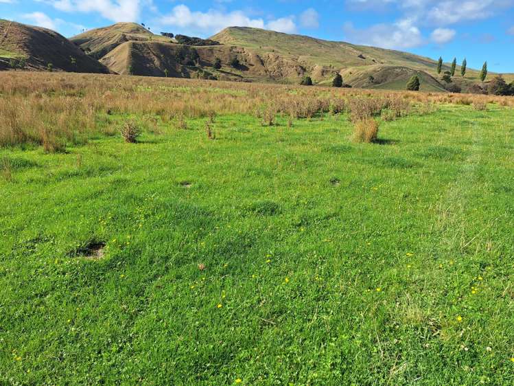 Mangaone Road Pongaroa_19