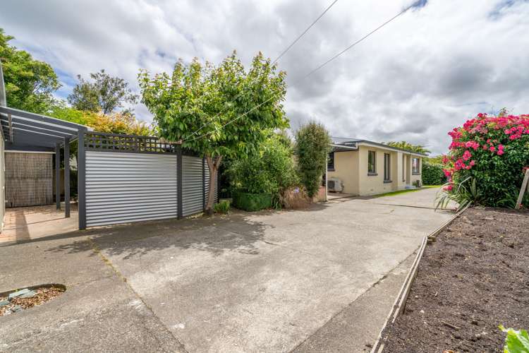 319 Chelmsford Street Waverley_20