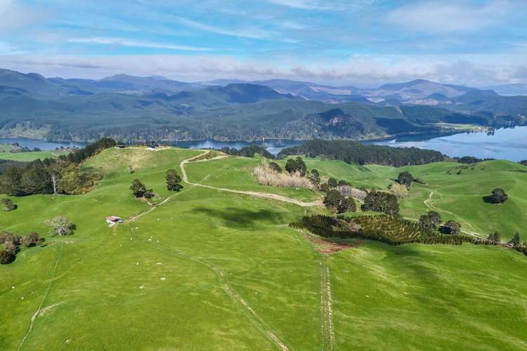 494B Dods Road Waikite Valley_13