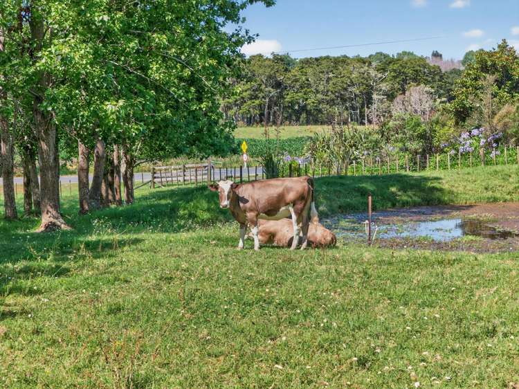 386 South Road Waipu_35