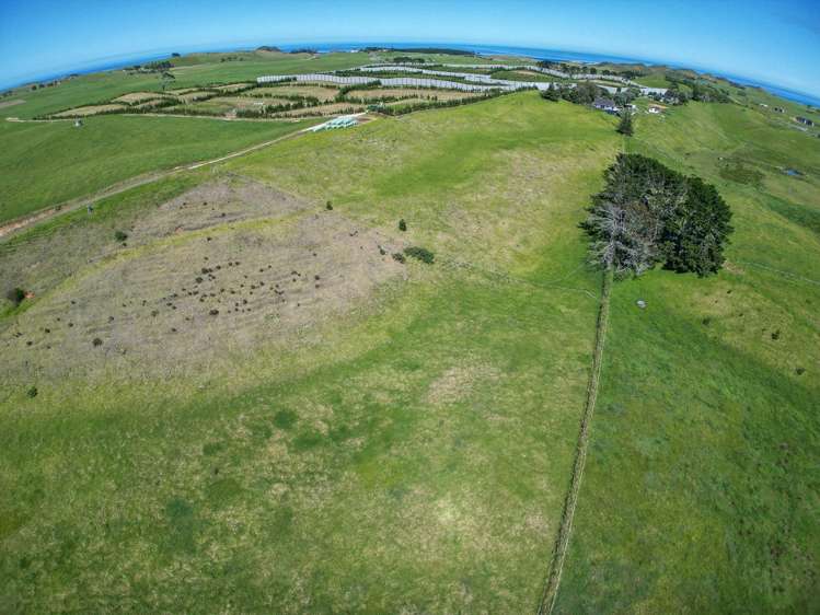 42 Redhill Cemetery Road Te Kopuru_7