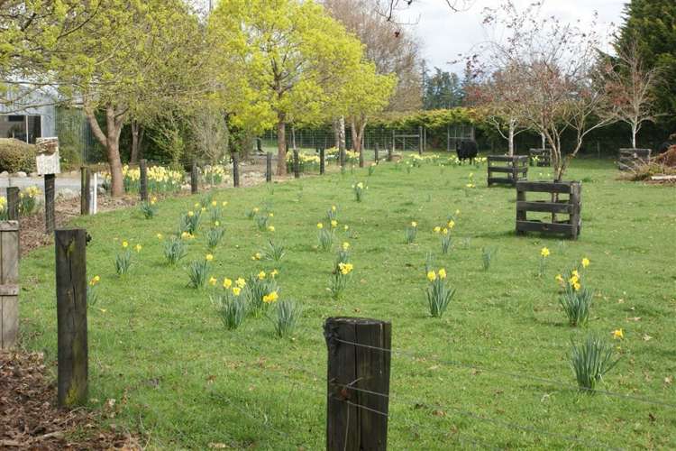 282 Sinclair Road Te Anau_23