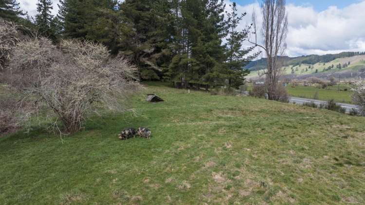 5087 Motueka Valley Highway Kohatu_32