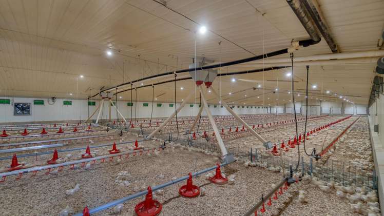 921 Old West Coast Road West Melton_12