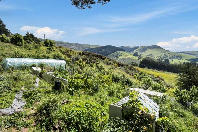 323 Aramoana Road Deborah Bay_3