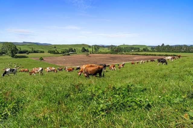 301 Matarawa Road Tokoroa_3