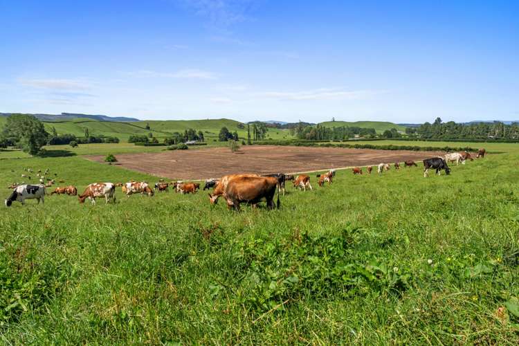 301 Matarawa Road Kinleith_3