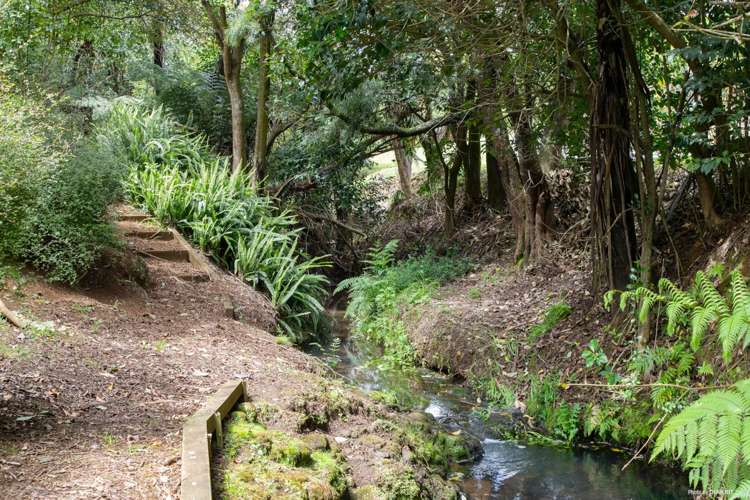 16 Mystic place Tuakau_5