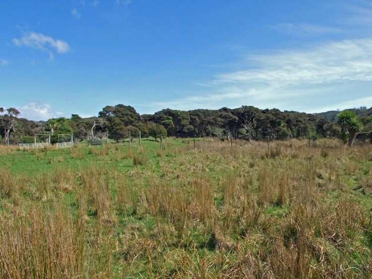 172 Wharariki Road Kahurangi National Park_11