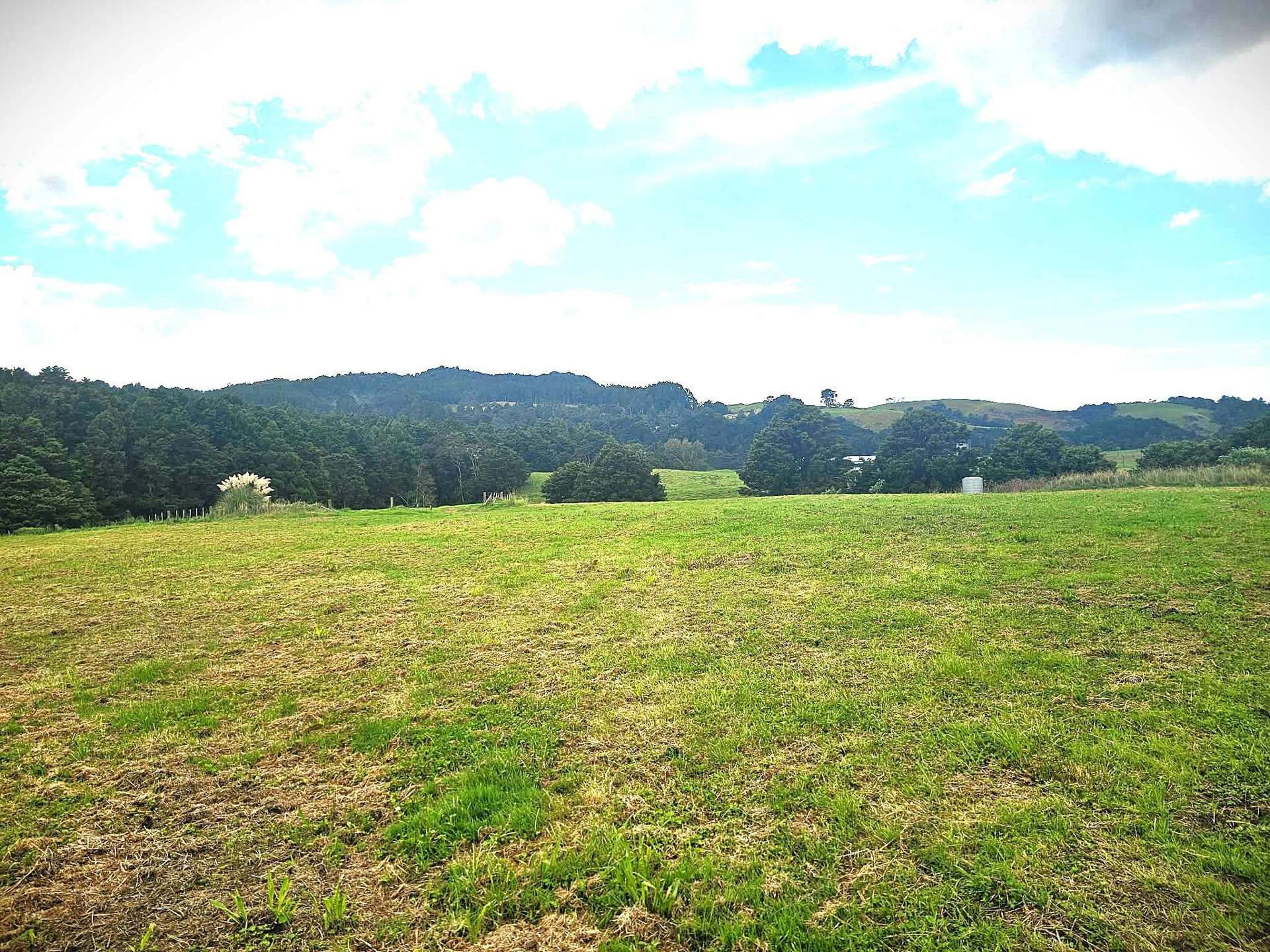 Lot Lot 1 Dodd Road Maungaturoto_0