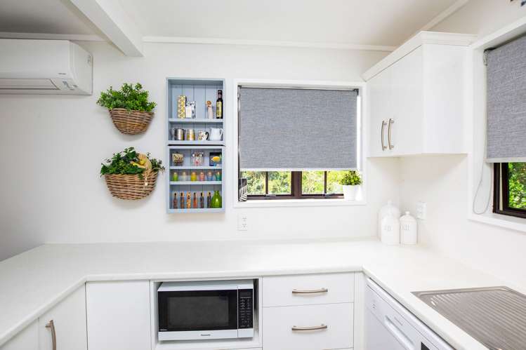 9a Campbell Street Maori Hill_9