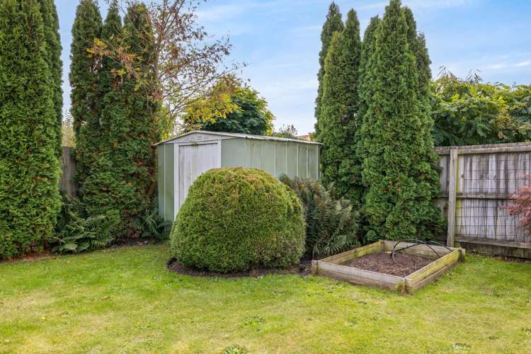 3 Lexington Place Shirley_22