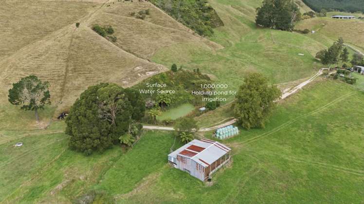 147A Pikowai Road Pikowai_3