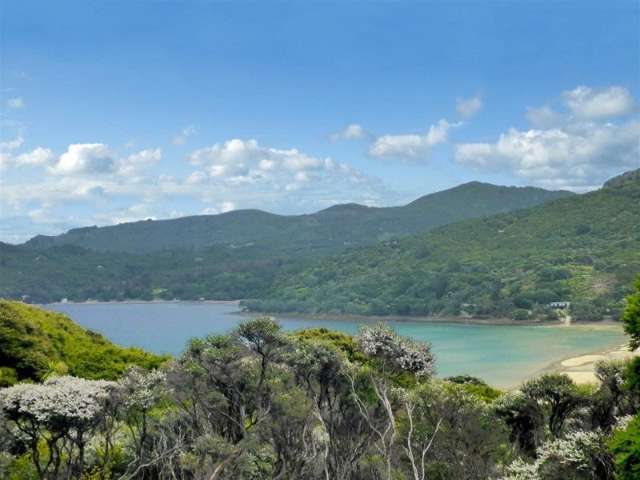 396k Shoal Bay Road Great Barrier Island (Aotea Island)_1