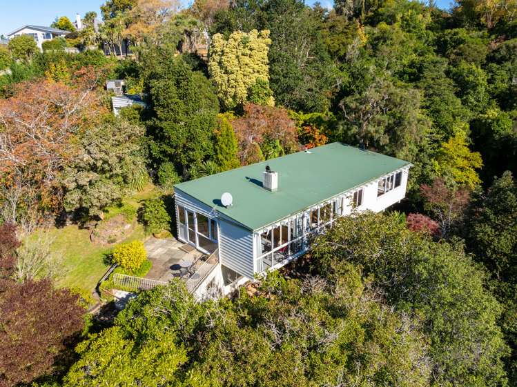 61 Braeview Crescent_0