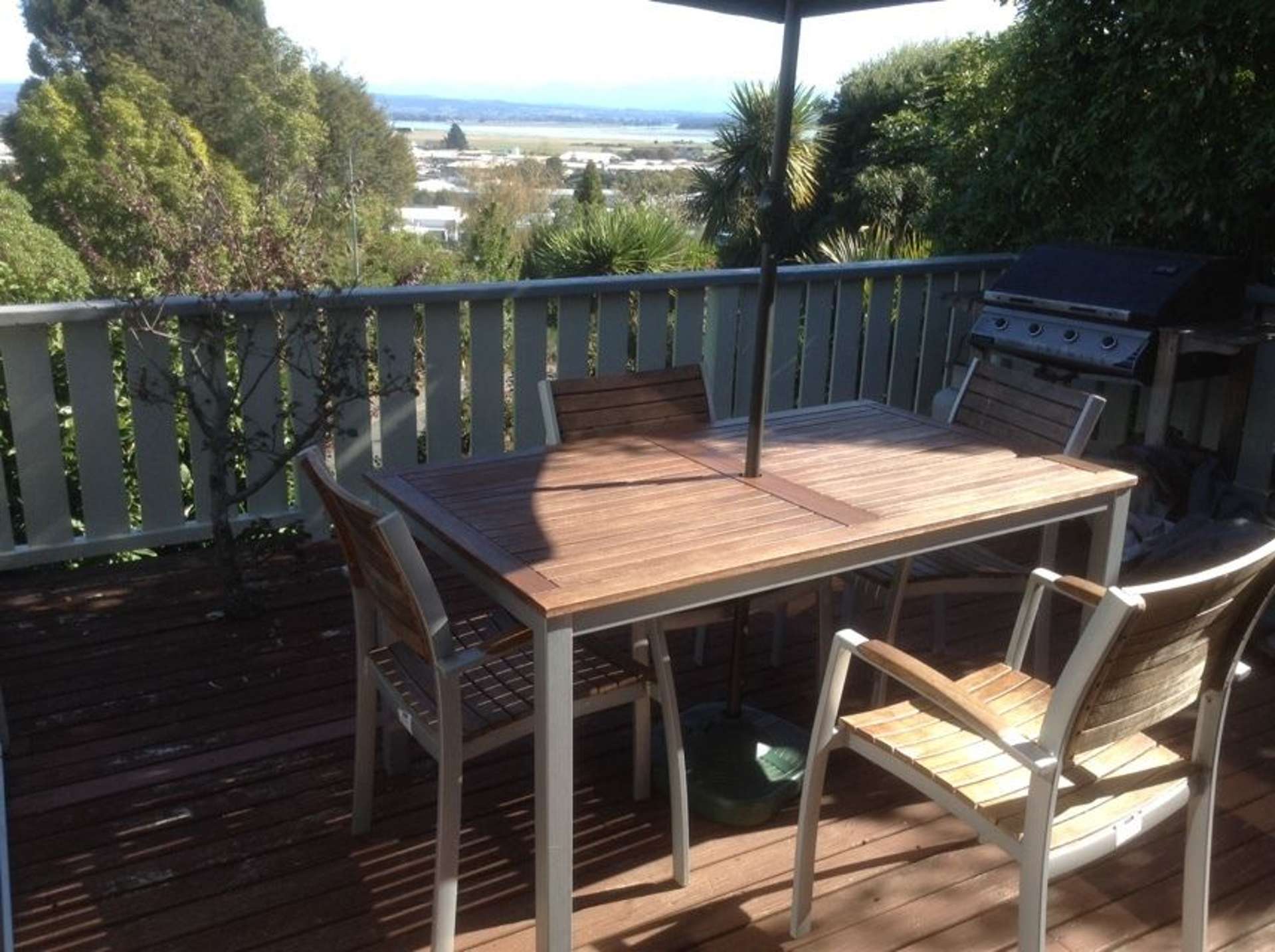 17 Maire Street Tahunanui_0