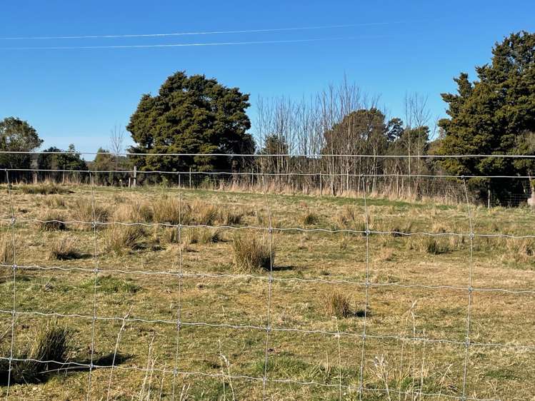 Rangitata Gorge Road Peel Forest_5