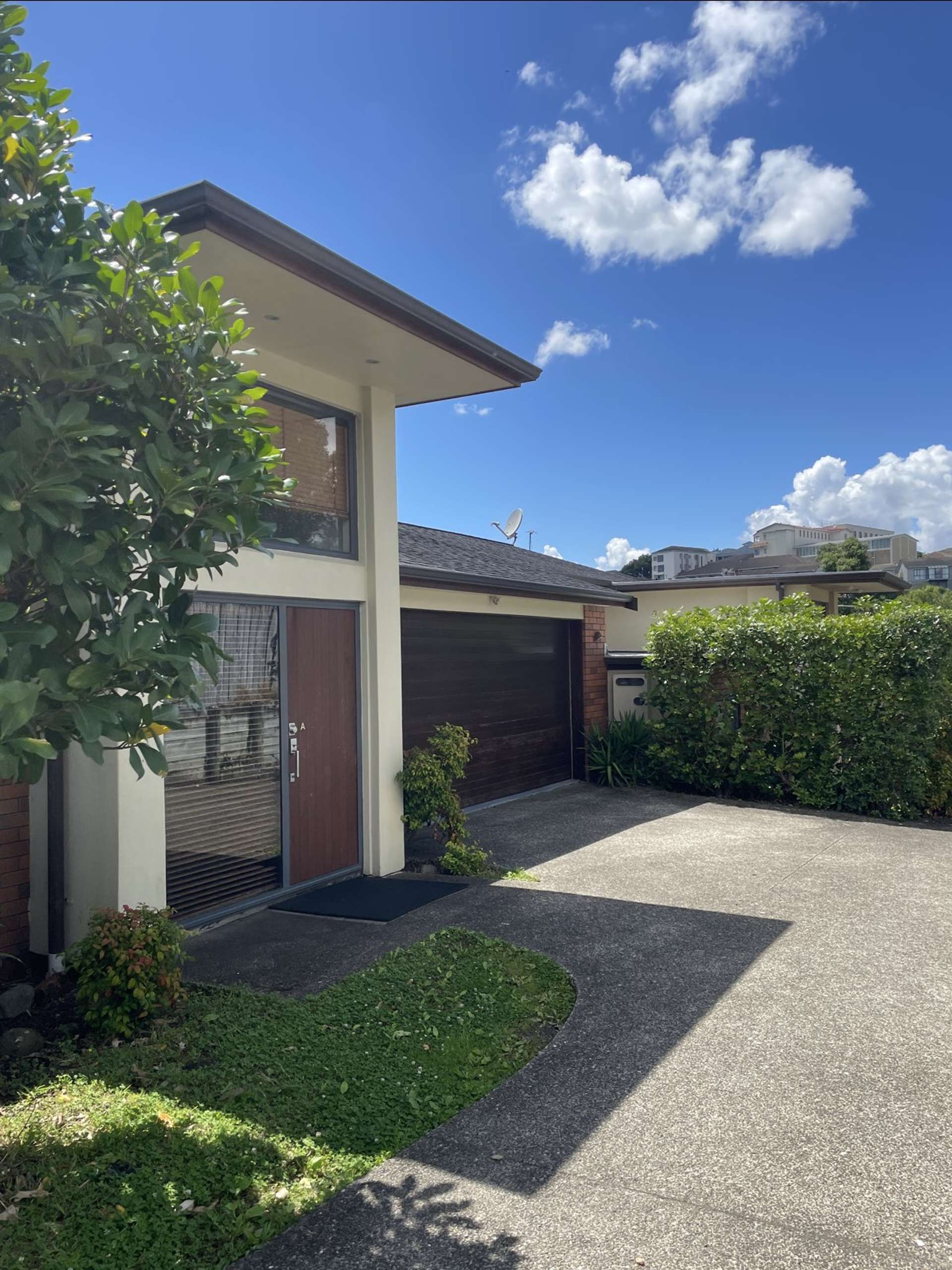 509A Hillsborough Road Mount Roskill_0