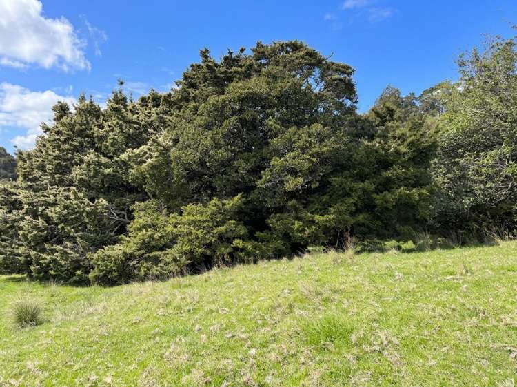 583 Lusk Road Ruawai_10