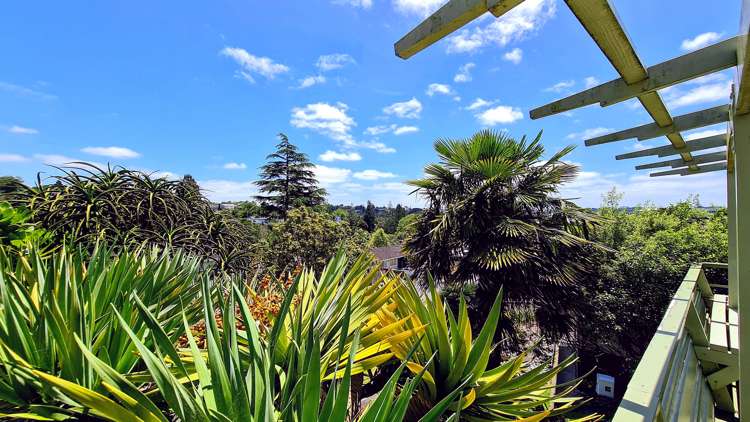 64 Stott Avenue Birkdale_2