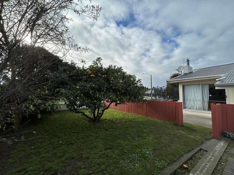 166 Vigor Brown Street Napier South_11