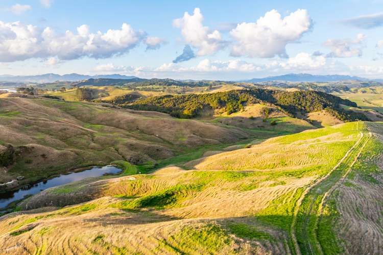 98 Rowland Road Dargaville Surrounds_15