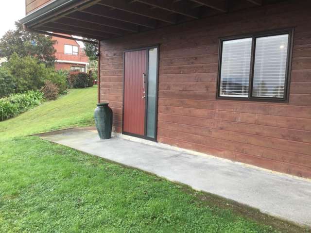 19 Eleanor Place (Studio) Blockhouse Bay_1