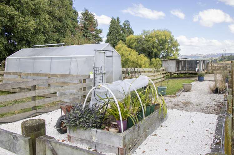 993 Whirinaki Valley Road Ngakuru_39